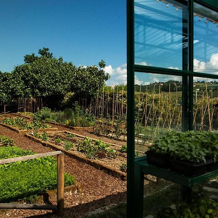 Agriturismo Brandini La Morra Esterno foto